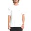 Volcom Stone Blanks póló white
