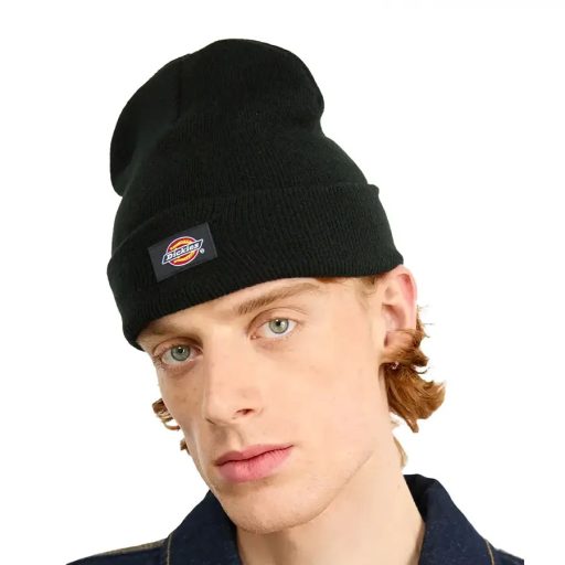 Dickies Gibsland téli sapka black