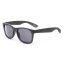 Vans Spicoli 4 Shades napszemüveg black frosted transiculent