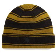 Vans Skate Blurry Stripe beanie