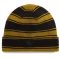 Vans Skate Blurry Stripe beanie