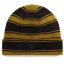 Vans Skate Blurry Stripe beanie