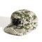 Vans Formula snapback sapka neutral olive marshmallow