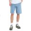 Vans Chore Loose Denim rövidnadrág stone wash